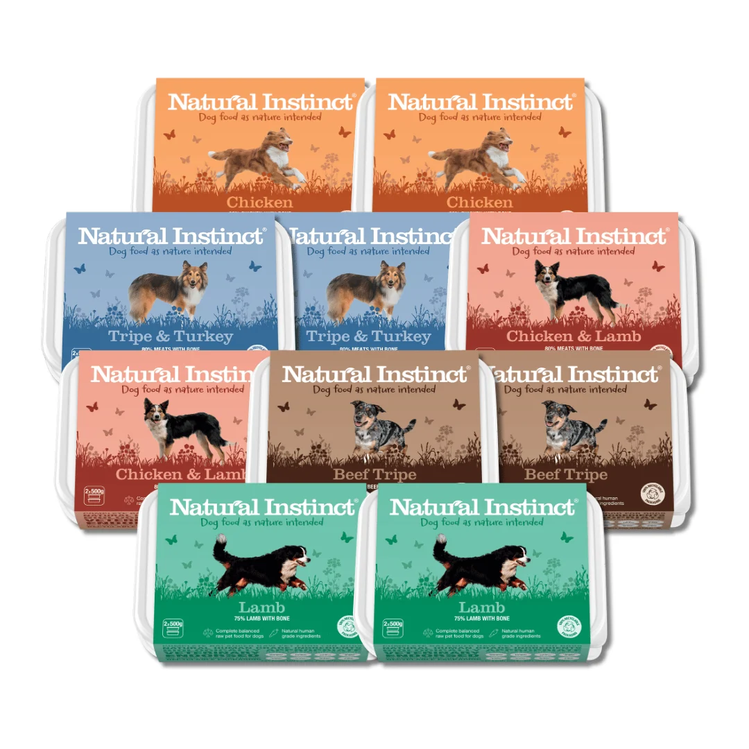 Raw Food For Dogs